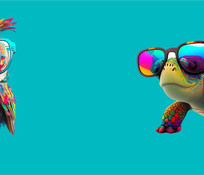 EXCEL for Youth Banner featuring an owl with glasses on the left and a tortoise with glasses on the bottom right